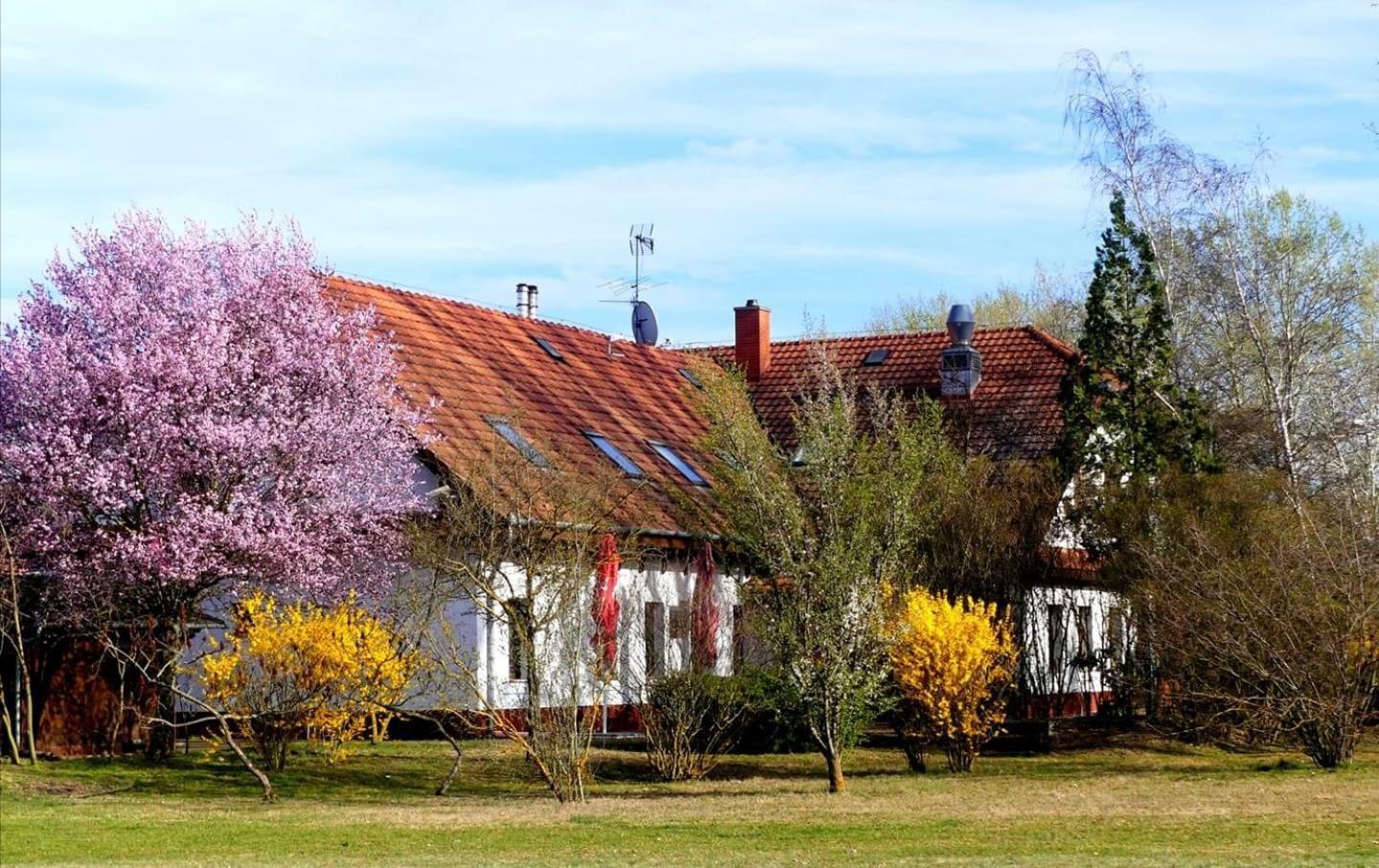Bed and Breakfast Kígyósi Csárda&Panzió Fulopszallas Exterior foto